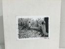 Sunn O))) White Box 3xLP white vinyl + Picture Disc Limited to 500  White 1 + 2