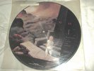 Oingo Boingo Dark At The The End Of The Tunnel Promo Picture Disc LP