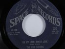 Sweet/Northern Soul 45 HILL SISTERS Oh My Love, Sweet Love SPACE HEAR
