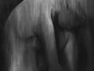 Mournful Congregation - Tears From A Grieving Heart ++ 2-LP ++ NEU