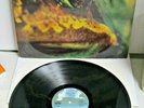 TOAD - TOAD Hallelujah First Press Psych Prog Holy Grail Kraut Swiss