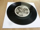 THE FLYS - 5 TRACK EP - PLAIN WHITE SLEEVE - VERY GOOD