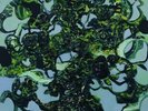 THE CARETAKER Everywhere At The End Of Time - Stage 3 LP NEW VINYL History Alwa