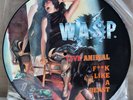 W.A.S.P. LIVE ANIMAL 1988 UK PRESS 3 TRACK 12