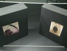 Pearl Jam Ten and VS/Vitalogy Vinyl Box Sets Collector's Edition Both Complete