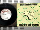 Skrewdriver ?– You're So Dumb