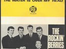 Rockin' Berries '65 NORWAY PS/45 The Water Is Over My Head **RARE**