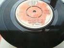 THE TROGGS - WILD THING - STUNNING RARE NEW  MINT VINYL JAM 25 Label   UNPLAYED