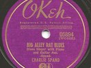 BLUES - CHARLIE SPAND 