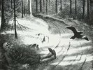 Hvis Lyset Tar Oss [VINYL]