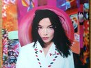 Bjork 
