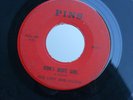 Z9 PINS A-LF PRIVATE PRESSING THE LOST AND FOUND DONT MOVE GIRL TO CATCH THE SUN