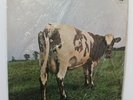 PINK FLOYD Atom Heart Mother LP (Harvest Q4 SHVL 781, UK Quad) SEALED