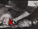 Raw Power ?– You Are The Victim - LP ITALY 1983