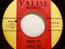  Soul/funk 45 - Gunga Din - Snake Pit - Mint- 