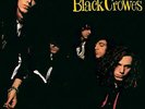 Universal Music Group The Black Crowes - Shake Your Money Maker  [LP]