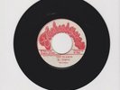 TECHNIQUES/ GET TO KNOW - INTERNS (75 REGGAE ROOTS 7