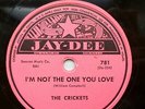 CRICKETS doowop 78 I'M NOT THE ONE YOU LOVE on MINT Minus Jay Dee FINE WINE TB23