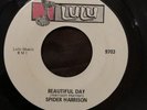 Rare Funk 45 - Spider Harrison - Beautiful Day - Lulu 9703 - NM