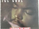 Ice Cube - Check Yo Self Feat Das EFX Remix / It Was A Good Day 12” Vinyl