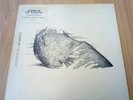 Coldplay The Scientist 1.36 I Ran Away 7” Limited Edition Vinyl EP WORLDWIDE
