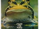 Froggie Beaver - From The Pond LP - Froggie Beaver - Private Prog Psych VG+