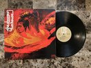 THE STOOGES FUN HOUSE RARE GOLD ELEKTRA LABEL FRENCH IMPORT PUNK VINYL LP