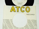 The Del-Rays – Fortune Teller / Like I Do – Atco Promo 45-6348