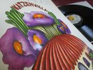 JOE HAIDER ?? KATZENVILLA ?? LOOKS UNPLAYED MINT SPIEGELEI 1st PRESS 1971 PROG