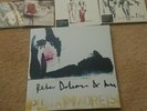 Peter Doherty And The Puta Madres Pink Vinyl Signed Babyshambles Lot