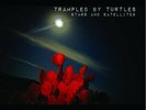 Trampled By Turtles ?- Stars And Satellites LP 180 Gram Vinyl Album Record + DL