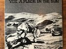 YDI - A Place In The Sun Rare Punk 45