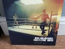 Noel gallagher high flying birds vinyl like new
