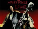 SCREAMIN' JAY HAWKINS/THE FUZZTONES - Live (Record Store Day 2019) - Vinyl (12