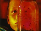 ALICE IN CHAINS Jar Of Flies / Sap 2 x 180gm Vinyl LP 2010 NEW & SEALED MoV