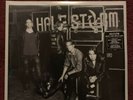 HALESTORM Into The Wild Life 2LP New Sealed Vinyl 2 LP