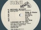 Michael Wycoff ?– Looking Up To You - Vinyl, 12