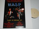 WASP 