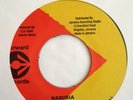 Liberation Group - Namibia - 7'' Vinyl - VG - Forward Records 