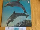 'EDWIN COLLINS' ORANGE JUICE -YOU CAN'T HIDE YOUR LOVE FOREVER *ORIGINAL* VINYL