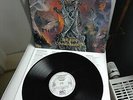 MALEVOLENT CREATION     original Vinyl LP     The Ten Commandments (1991)