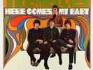 Tremeloes - Here Comes My Baby LP - Epic Mono