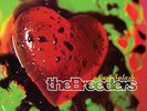 Breeders, The - Last Splash Vinyl Record