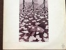Beaver and Krause - In a Wild Sanctuary LP. VG+ 1970 Olive Label. WS 39660-1 JS