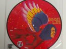 David Bowie “The Man Who Sold The World” Picture Disc RSD 2016 Sealed