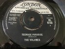 The Volumes Sandra Teenage Paradise Rare Original UK 7