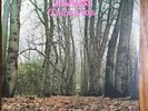 TWINK Think Pink 2XLP SUNBEAM RSD 2019 Played Once
