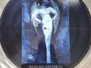 SCORPIONS - SEND ME AN ANGEL * 12 INCH PIC DISC VINYL *l* VERXP 60 *