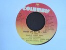 MARIAH CAREY Honey Bad Boy Re-Mix COLUMBIA Rap Hip Hop 45 HEAR