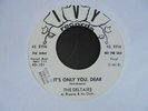 THE DELTAIRS It's Only You Dear IVY Doo Wop Teen Promo 45 HEAR